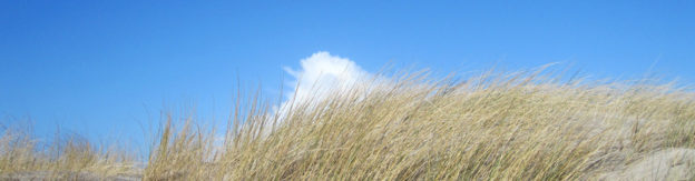 Top10: Die Highlights im Urlaub auf Borkum