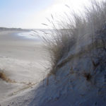 Norderney - Strandblick aus den Dünen