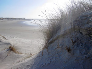 Norderney - Strandblick aus den Dünen