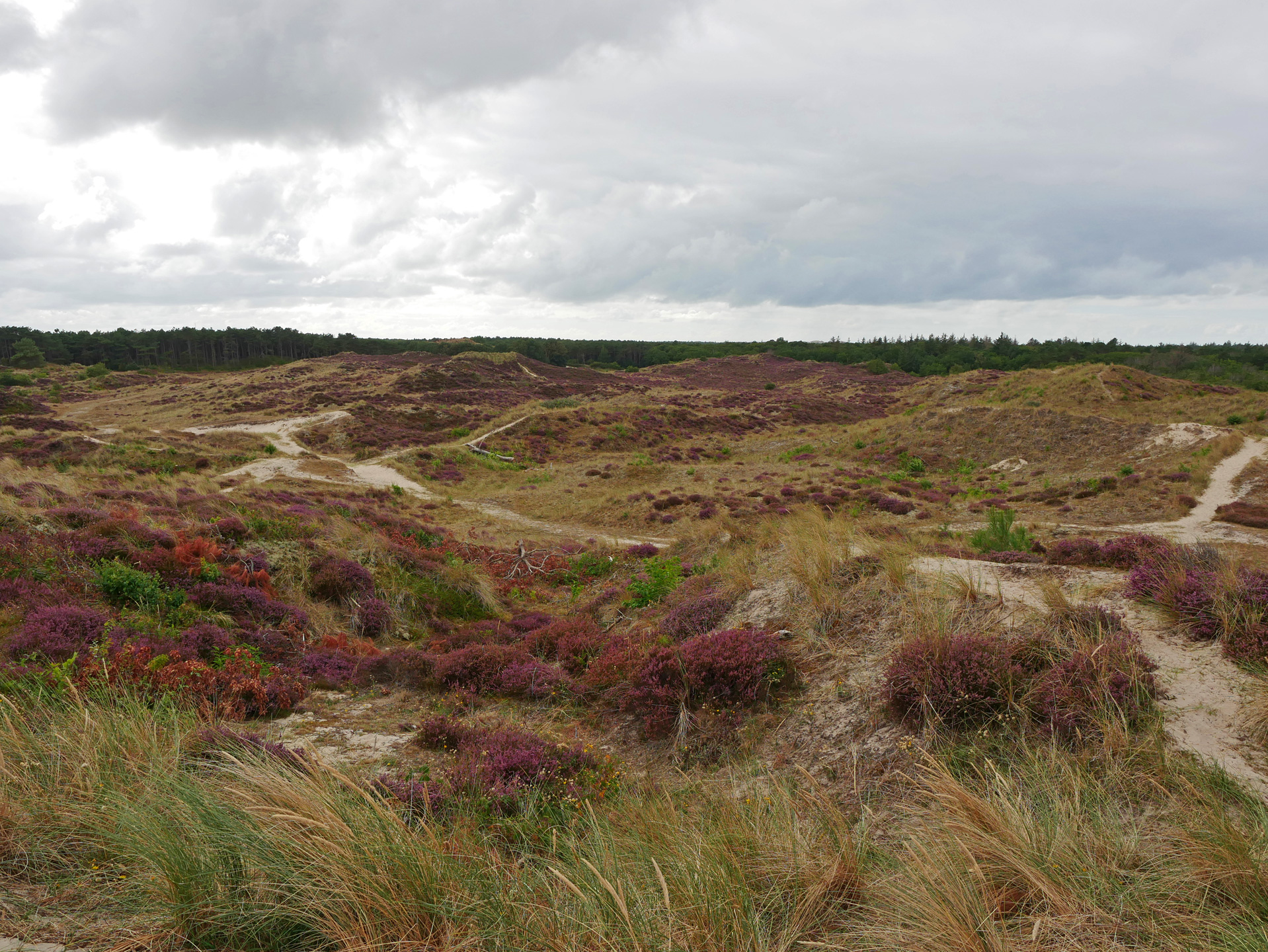 Terschelling: Geschichte und Gezeiten