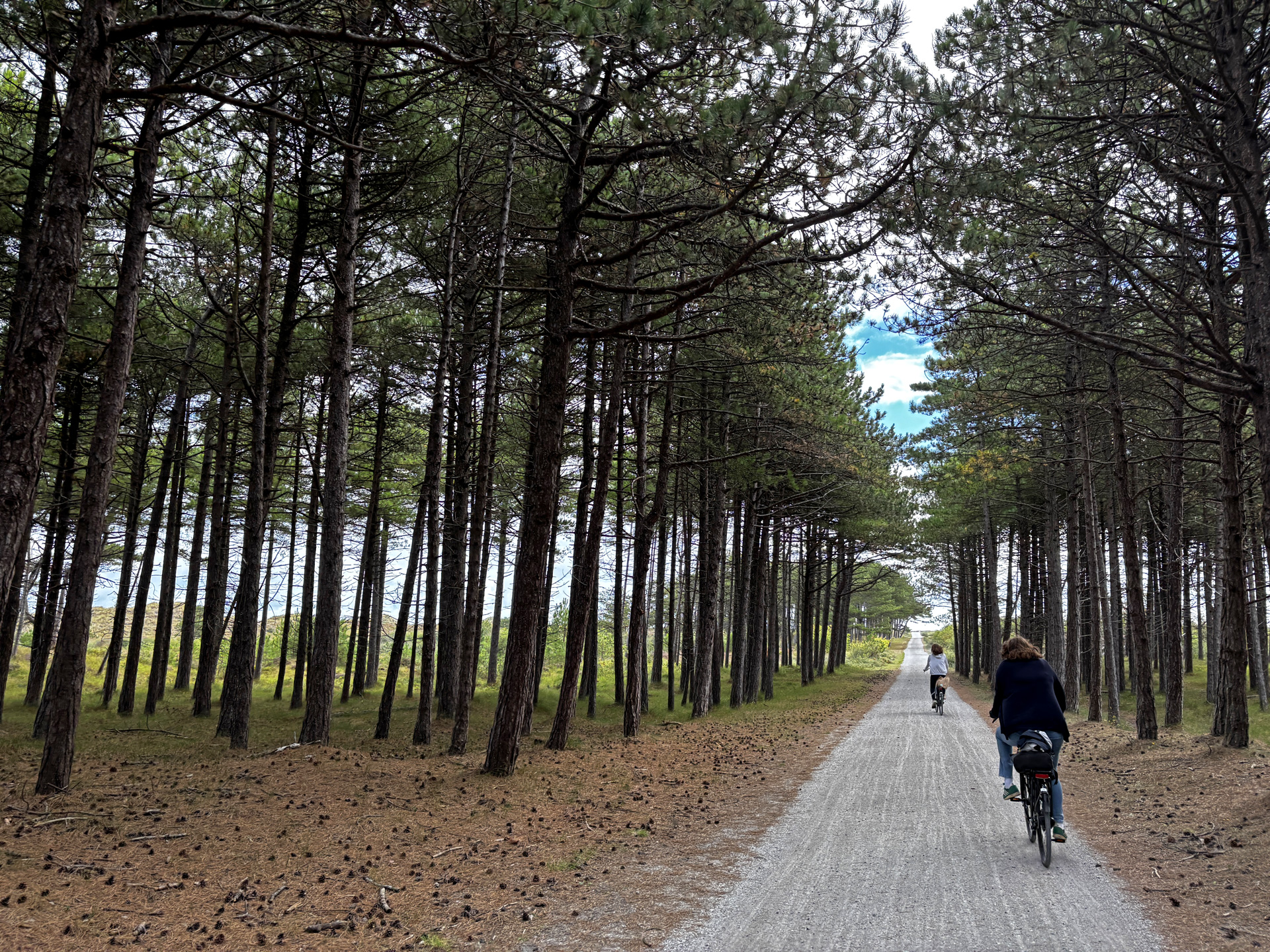Terschelling mit dem Fahrrad