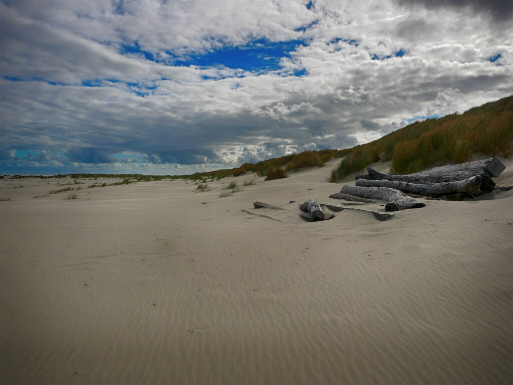 Am Strand von Terschelling